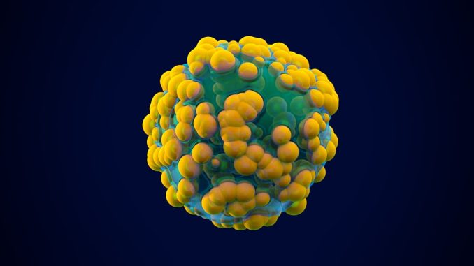 Bästa tipsen för att stärka immunförsvaret naturligt illustration